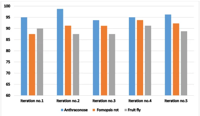Fig 4.1: Comparison of accuracy between Anthracnose, Fomopsis rot and Fruit fly 