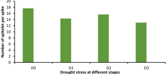 Figure  8:  Effect  of  drought  stress  imposition  at  different  stages  on  number  of  spikelet spike -1  of BARI Gom-28 (LSD 0.05  = 0.68) 