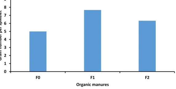 Figure  9:  Effect  of  different  organic  manures  on  number  of  grains  spikelet -1  of  BARI Gom-28 (LSD 0.05  = 0.51) 
