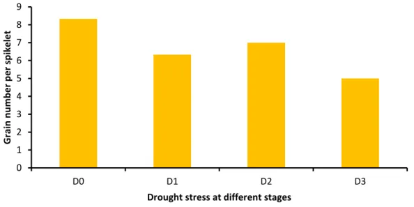 Figure  10:  Effect  of  drought  stress  imposition  at  different  stages on  number  of  grains spikelet -1  of BARI Gom-28 (LSD 0.05  = 0.80) 