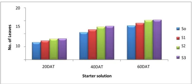 Fig. 2: Effect of starter solution on number of leaves of broccoli at different days                after transplanting 