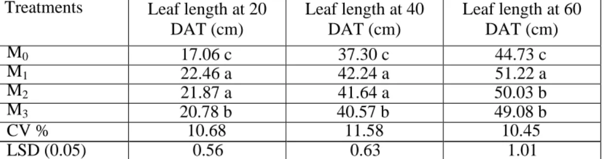 Table  6:  Effect  of  mulching  on  leaf  length  of  broccoli  at  different  days  after  transplanting 