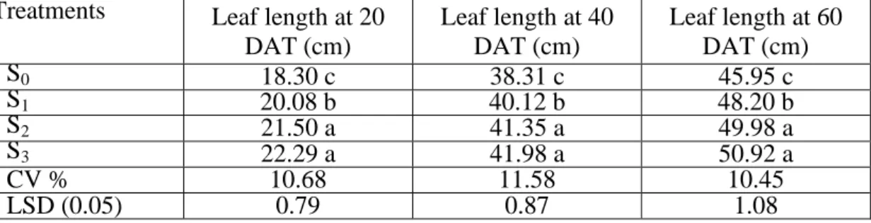 Table 5: Effect of starter solution on leaf length of broccoli at different days after                    transplanting 