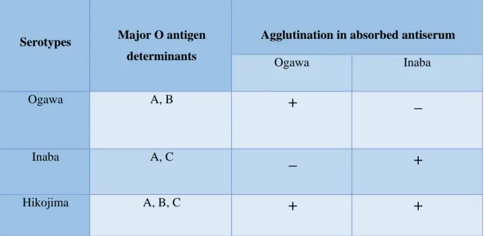 Table 2.3: Serotype determination of V. cholerae O1 
