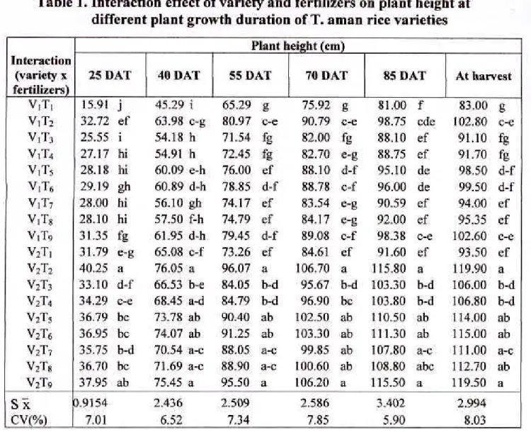 Table I. Interaction effect of variety and fertilizers on plant height at  different plant growth duration of T