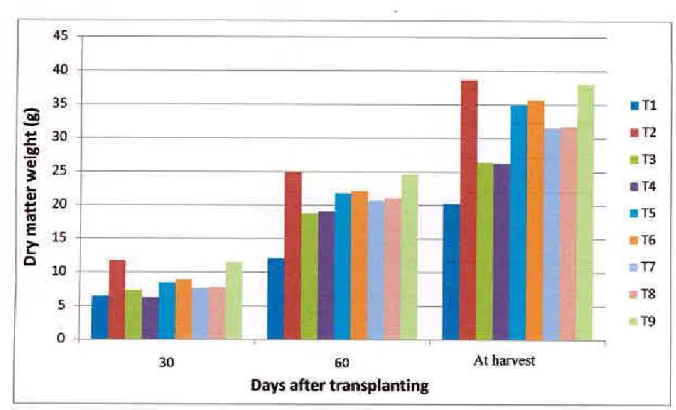 Fig. 6 Effect of fertilizers on dry matter at different crop growth stage of T. aman  rice  (Si(  = 0.84, 0.19, 0.20 at 30,60 DAT and at harvest, respectively) 
