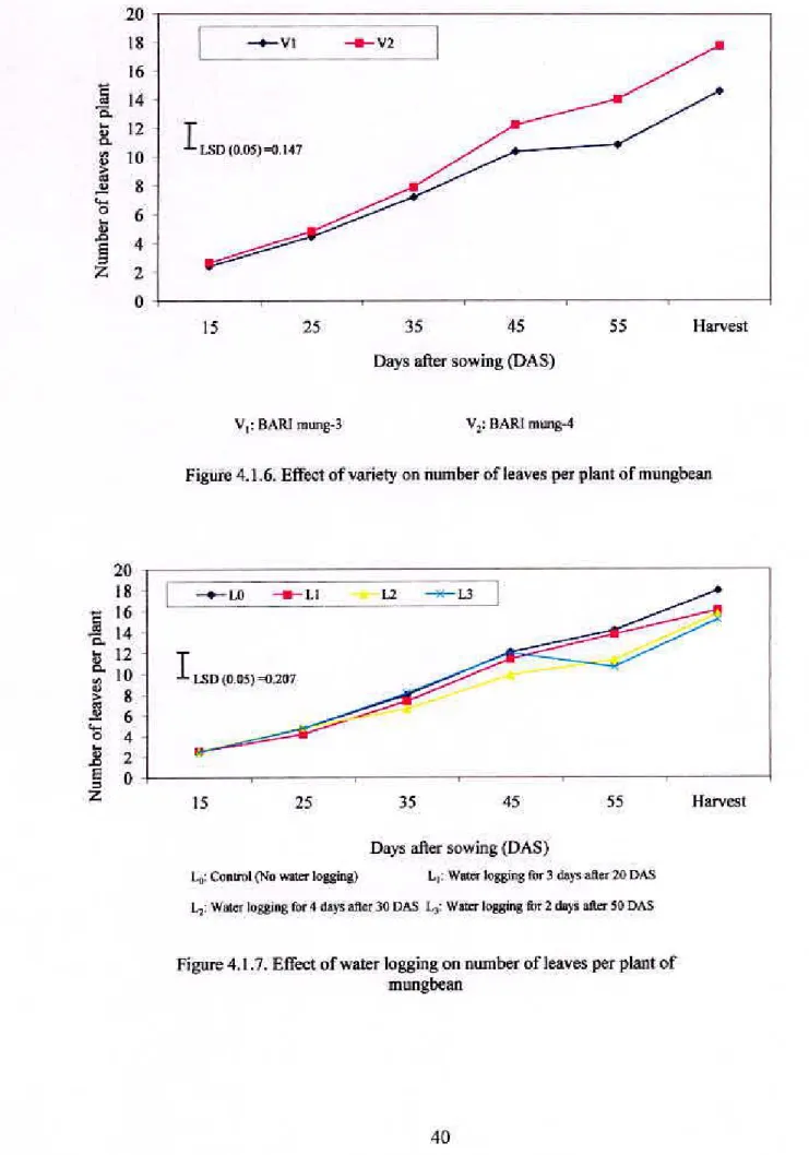 Figure 4.1.7. Effect of water logging on number of leaves per  plant  of  mungbean 