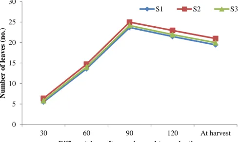 Figure  5:  Effect  of  spacing  on  number  of  leaves  plant -1   at  different  days  after  sowing and transplanting (LSD 0.05 = 0.69, 1.05, NS, 1.15 and 1.20 at 30,  60, 90, 120 DAS and DAT and at harvest, respectively) 