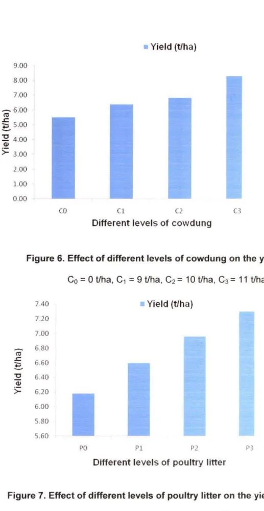 Figure 7.  Effect of different levels  of poultry litter  on the yield  of okra 