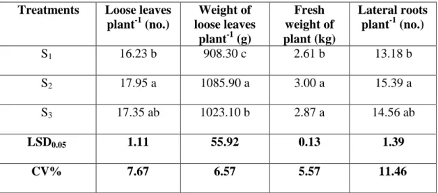 Table 3. Effect of different spacing on loose leaves plant -1 , weight of loose leaves  plant -1 , fresh weight of plant and lateral roots plant -1  of cabbage 