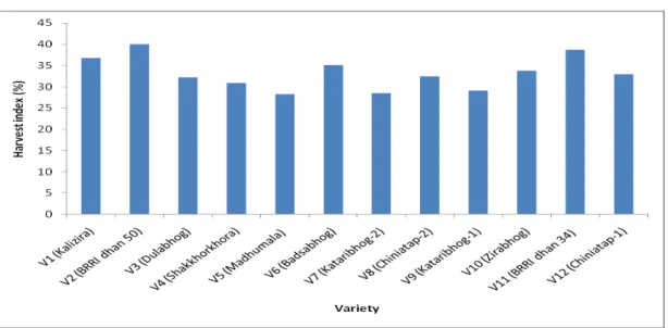 Fig. 4. Harvest index of aromatic rice varieties are tasted in this study. 