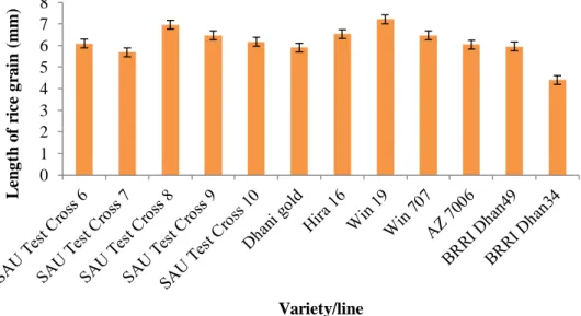 Figure 1. Effect of variety on length of grain rice (mm) (LSD (0.05) = 0.514). 
