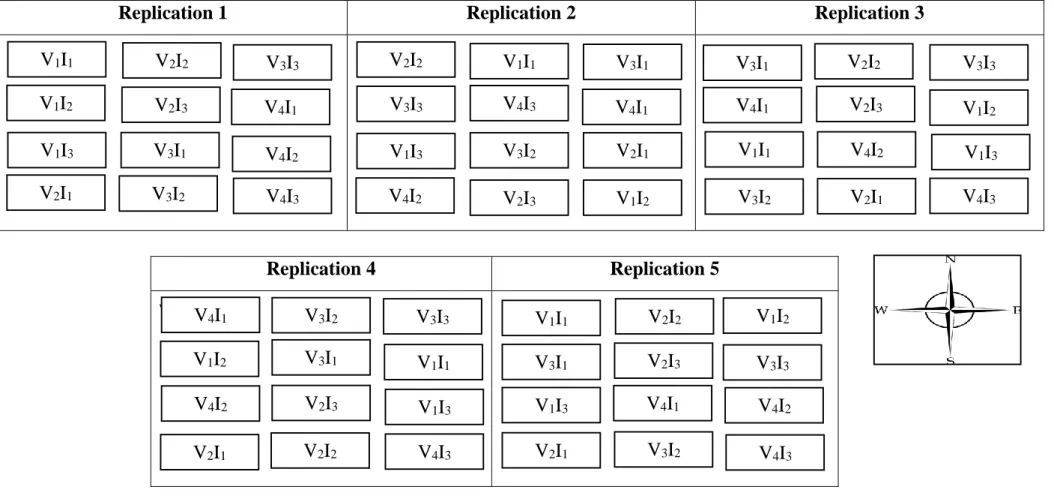 Fig 1. Layout of the experiment 