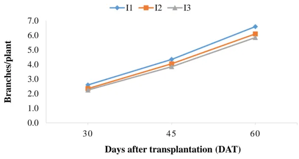Table  5.  Combined  effect  of  varieties  and  irrigation  frequency  on  number  of  branches/plant at different days after transplanting of cherry tomatoes** 