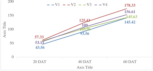 Figure 2. Effect of different varieties on plant height of cherry tomato at different  DAT