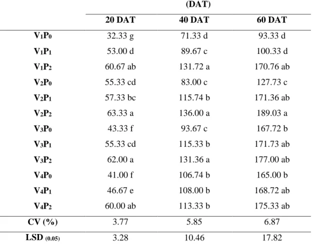 Table 1: Combined effect of different level of pruning and varieties on plant height  of cherry tomato at different days after transplanting (DAT) 