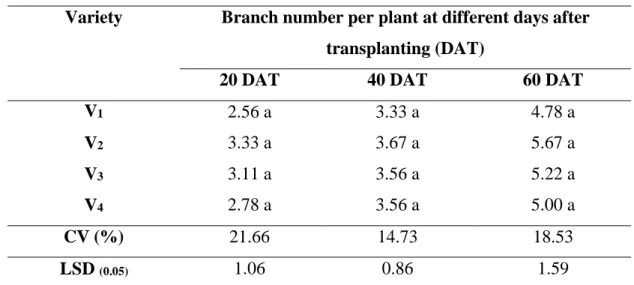 Table 3. Effect of different variety on branch number per plant of cherry tomato  at different DAT 