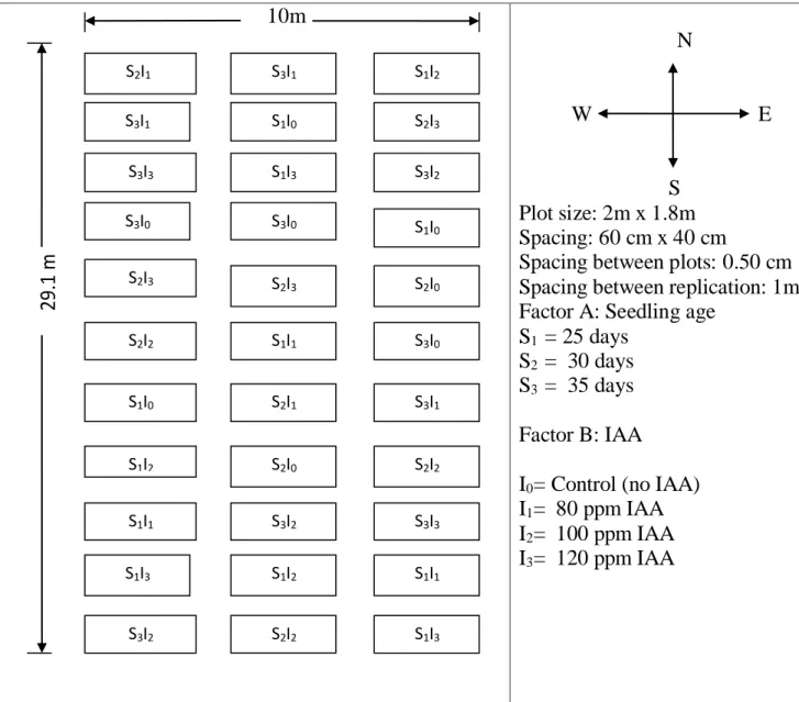 Fig. 1 : Field layout of the experiment plot 