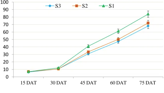 Fig. 4. Effect of seedling age on number of leaves per tomato plant 