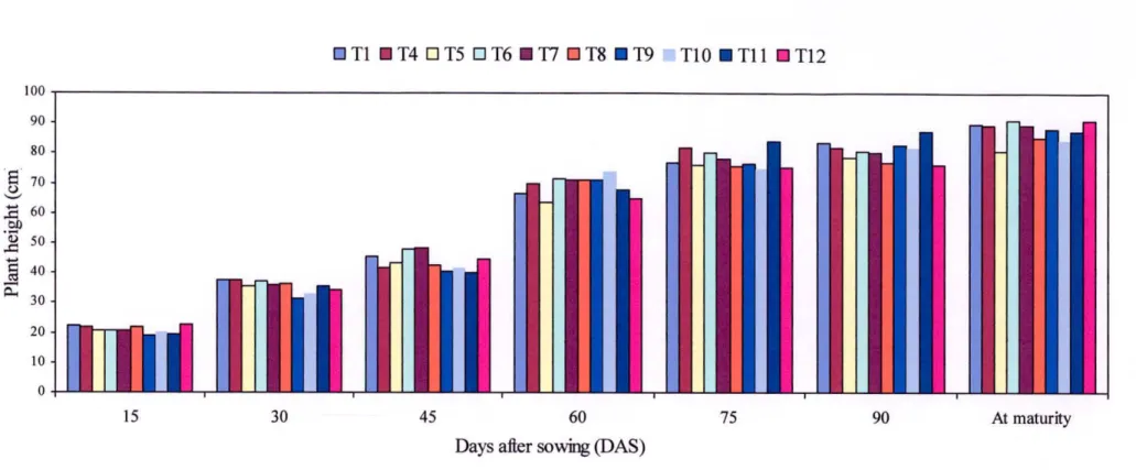 Fig. 1. Plant height of wheat at different days under different intercropping systems (LSD0.05  = 1.64, 2.09, 1.71, 1.72, 1.86, 1.71 and  1.65 at 15, 30, 45, 60, 75, 90 DAS and harvest, respectively) 
