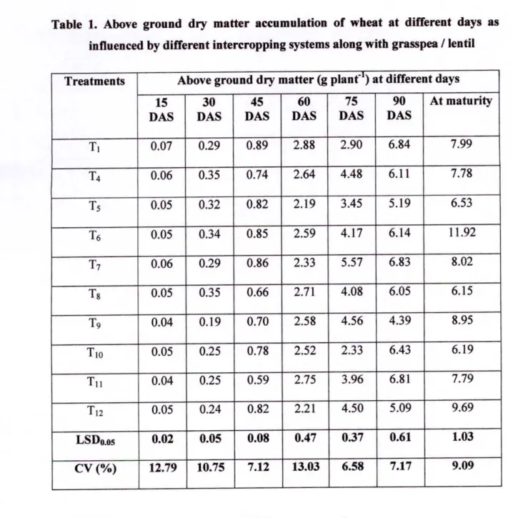 Table 1. Above ground dry matter accumulation of wheat at different days as  influenced by different intercropping systems along with grasspea / lentil  Treatments  Above ground dry matter (g plant') at different days 