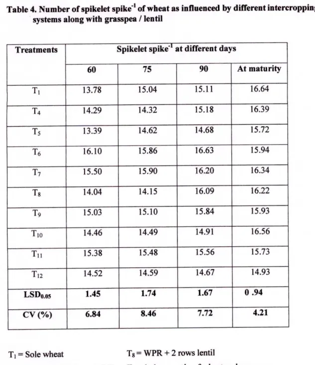 Table 4. Number of spikelet spike' of wheat as influenced by different intereropping  systems along with grasspea / lentil 