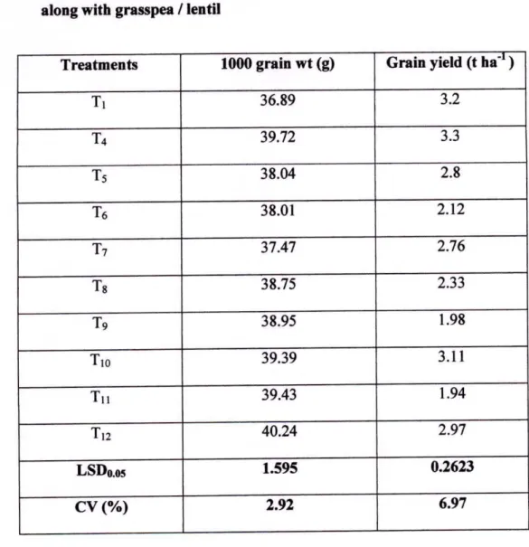 Table 5. Grain yield of wheat as influenced by different intercropping systems  along with grasspea / lentil 