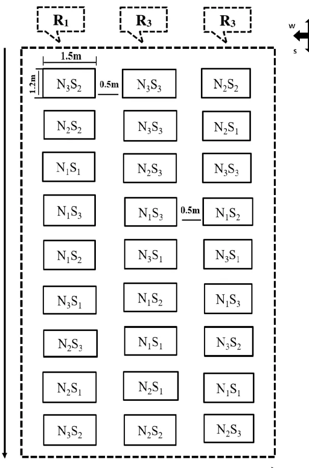 Figure 1. Layout of the experiment 