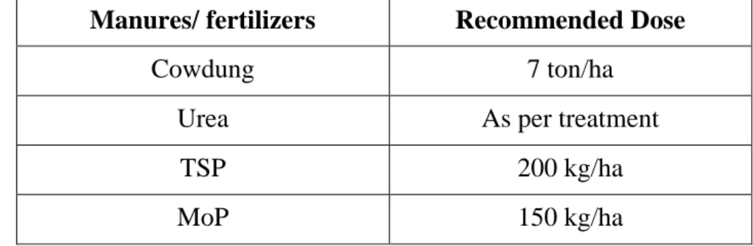 Table 1. Manures and fertilizer with BARI recommended doses along with plot  wise application dose 