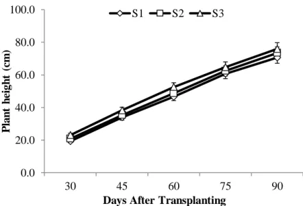 Figure 3. Effect of different spacing on plant height (cm) at different days after  transplanting  (Here, S 1 : 30 cm × 15 cm; S 2 : 30 cm × 20 cm and S 3 : 30 cm × 25 cm) 