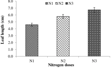 Figure 6. Effect of nitrogen doses on leaf length of Lisianthus  (Here, N 1 : 225 kg  Urea/ha.; N 2 : 250 kg urea/ha