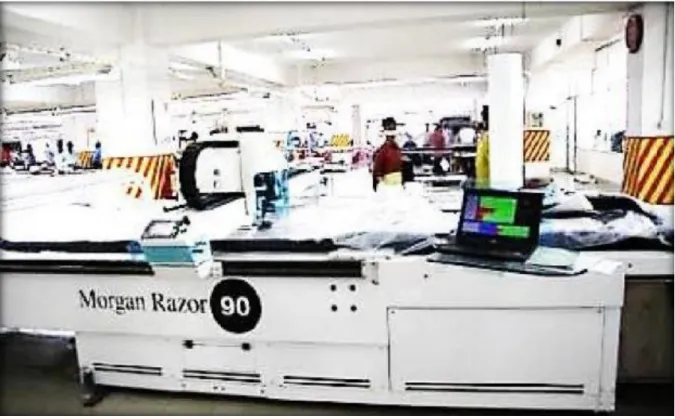 Figure 5: Cutting Section of Jaroms Industries Limited  2.5.2 Cutting Section Organogram  