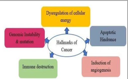 Figure 1: Hallmarks of cancer ((Walenkamp et al., 2014). 