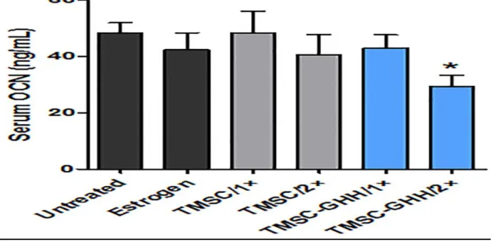 Figure 08: Serum osteocalcin (OCN) level in OVX mice after 03 months (Kim et al., 2018)