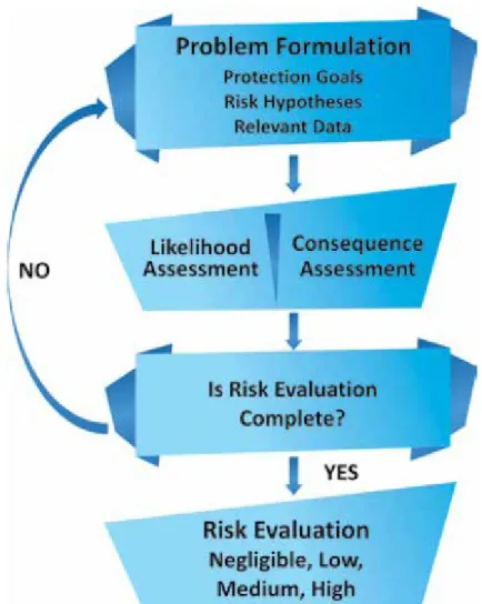 Figure 9: Risk assessment process  