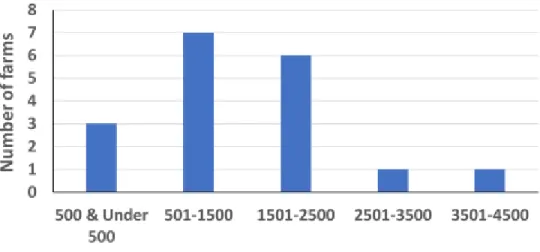 Figure 01: Number of birds in small-scale farms 