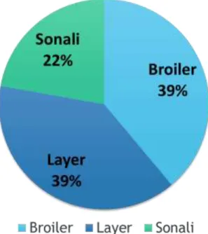 Figure 06: Type of chickens in small-scale poultry farms 