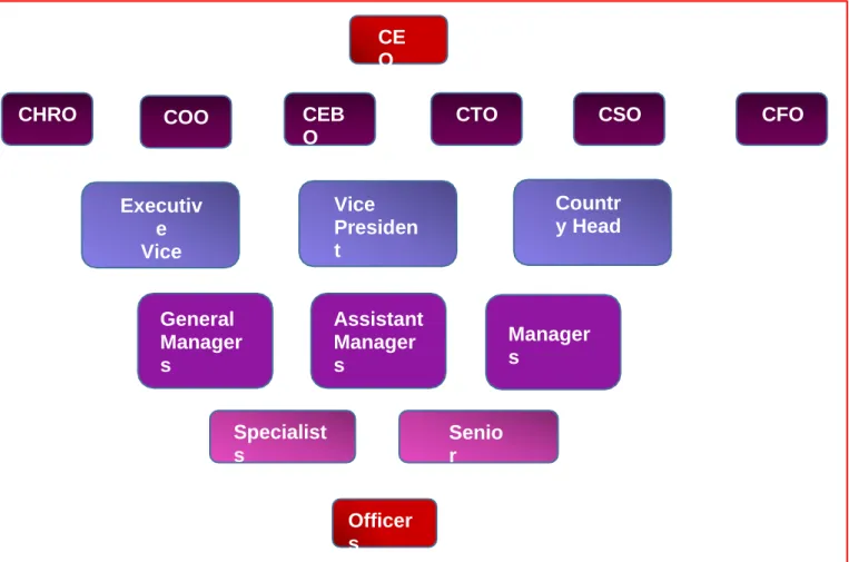 Figure 2: Hierarchy of Management