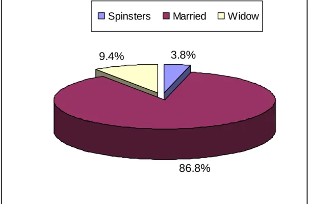 Figure 4.3  Marital Status 