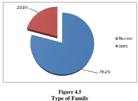 Figure 4.5  Type of Family 
