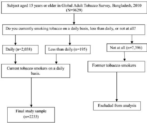 Figure 2a: Survey screening process used to select current tobacco smokers. 