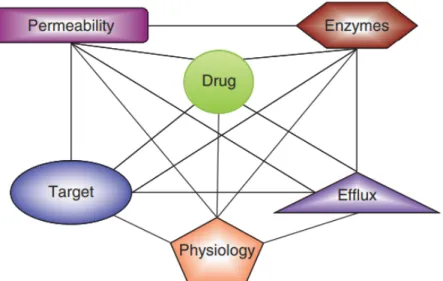 Figure 8: Cumulative Resistance. Collective Antibiotic resistance in organisms frequently results from many pathways, including alternative transport, the physiological condition of the cell, such as biofilm formation and development, and the availability 