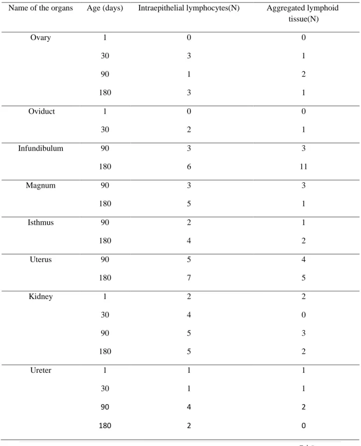 Table 2: Frequency of Intraepithelial lymphocytes and aggregated lymphoid tissue per 5  microscopic fields (40X) in female urogenital system of native chickens