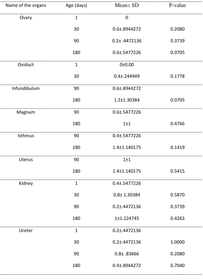 Table 3: Intraepithelial lymphocytes per 5 microscopic fields (40X) in the female  urogenital tract of the native chicken