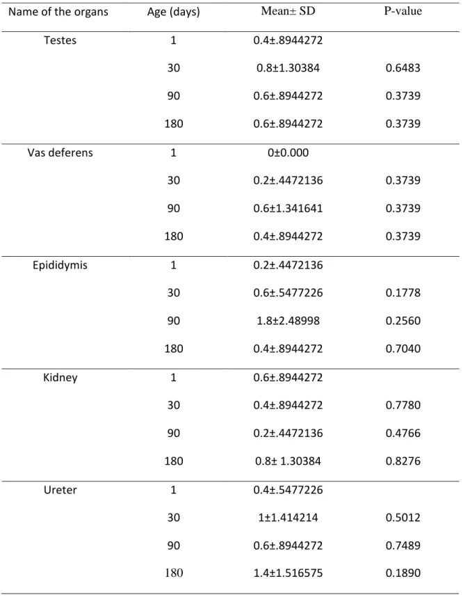 Table 5: Intraepithelial lymphocytes per 5 microscopic fields (40X) in the male  urogenital tract of the native chicken