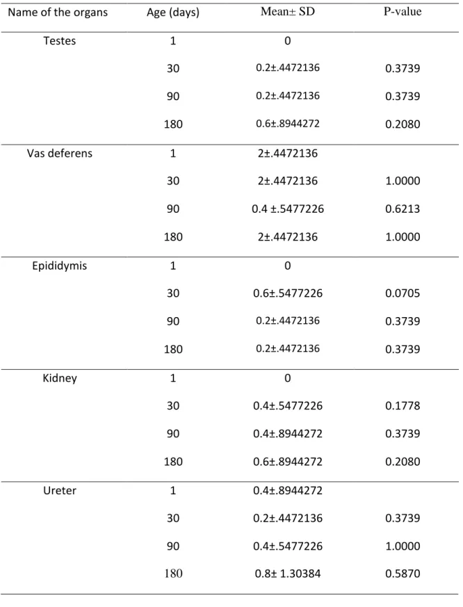 Table 6: Aggregated Lymphoid tissue per 5 microscopic fields (40X) in the male  urogenital tract of native chicken