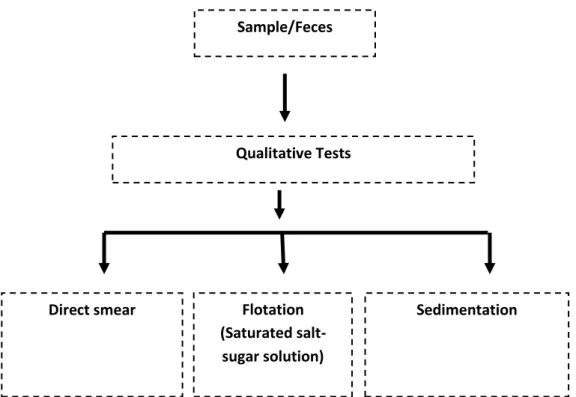 Fig. 2: Experimental Design (at a glance) 