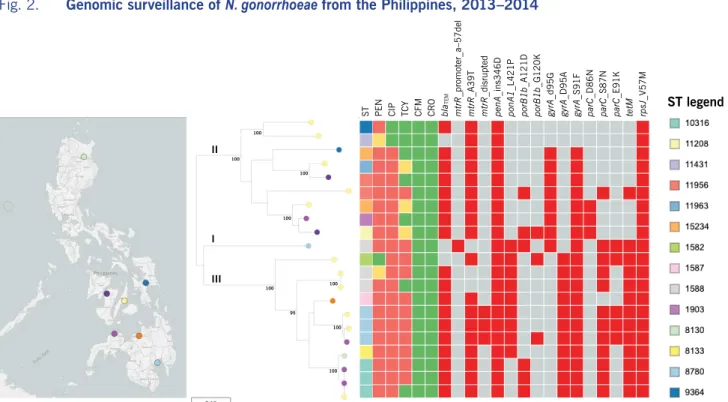 Fig. 2.  Genomic surveillance of N. gonorrhoeae from the Philippines, 2013–2014