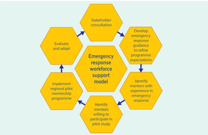 Fig. 1.  Recommended steps for establishing an emergency response workforce support model