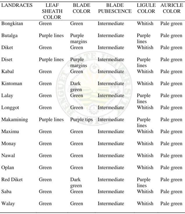 Table 5. Other leaf characteristics of the 16 rice landraces  LANDRACES LEAF 